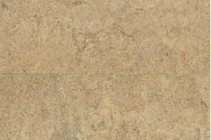 Коркова підлога Wicanders Cork Go Appeal GB10002